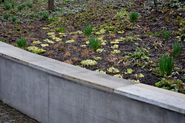 Concrete Wall Construction in Mount Pleasant