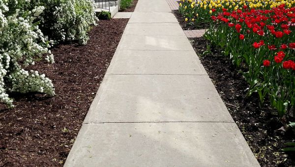 Cement Sidewalk Installation in Mount Pleasant