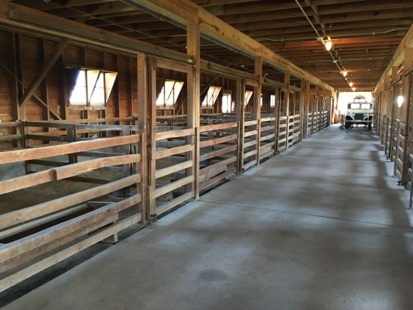 Barn Slab Construction in Mount Pleasant