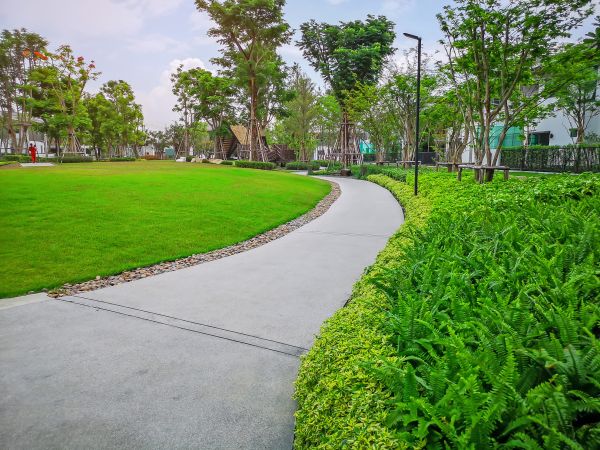 Cement Walkway Service in Mount Pleasant