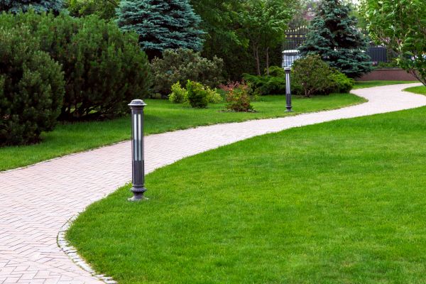 Backyard Sidewalk Installation in Mount Pleasant